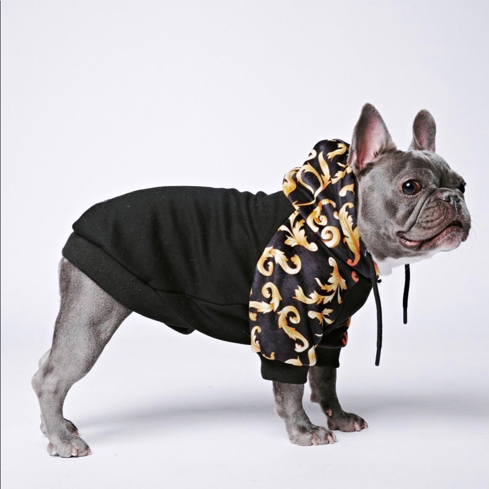 Spark paws dog clothing 2 for $75